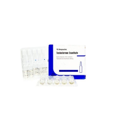 Testosterone Enantate 250 mg Aburaihan